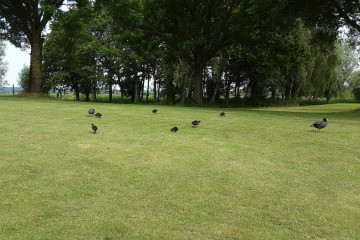 Ldnwk-Srdg-20230607-M-34