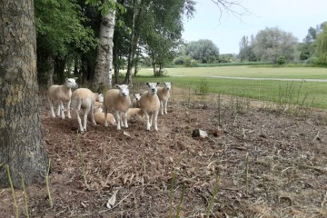 Ldnwk-Srdg-20230607-M-39